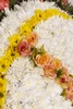 Detalhe