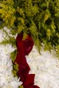 Detalhe