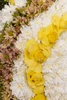 Detalhe