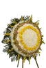 Lateral